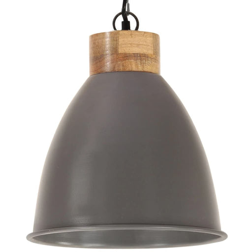 Hanglamp Industrieel E27 Ijzer En Massief Hout