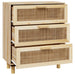 Dressoir 60X30X70 Cm Massief Grenenhout En Rattan