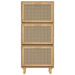 Schoenenkast 52X25X5Cm Bewerkt Hout & Natuurlijk Rattan