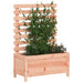 Plantenbak Met Rek 79X39,5X114 Cm Massief Douglashout