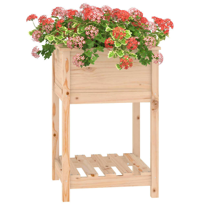 Plantenbak Met Schap 54X54X81 Cm Massief Grenenhout