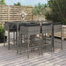 Tuinbarset Met Kussens Poly Rattan