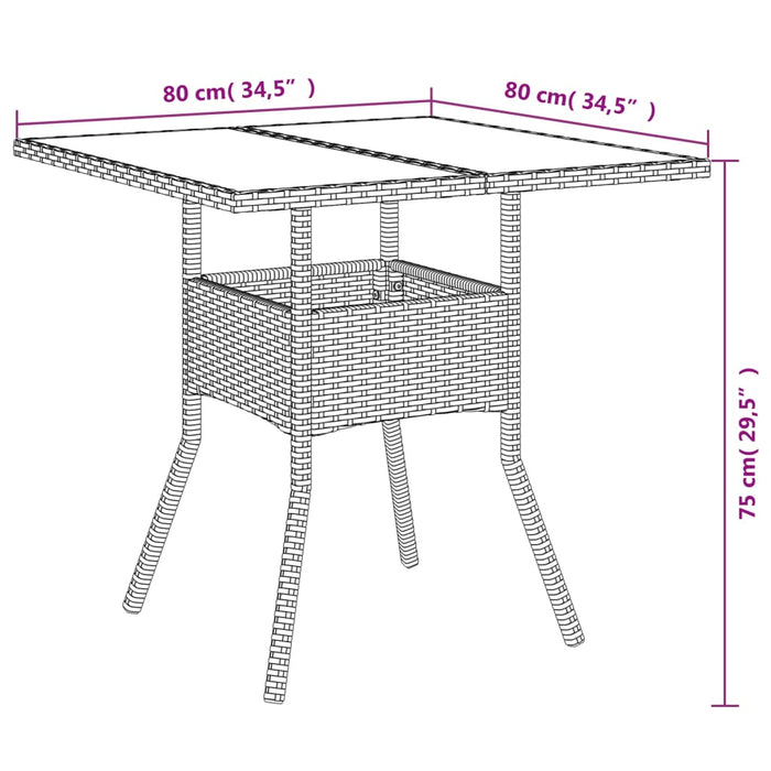 Tuinset Met Kussens Poly Rattan En Acaciahout