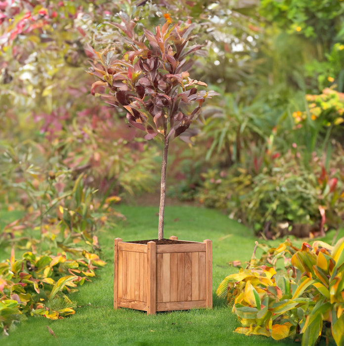 Teak Bloembak Kalimantan (51 x 51 x 56 cm)