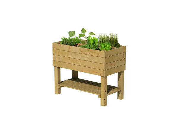 Minijardin en pin robuste (100 x 50 cm)