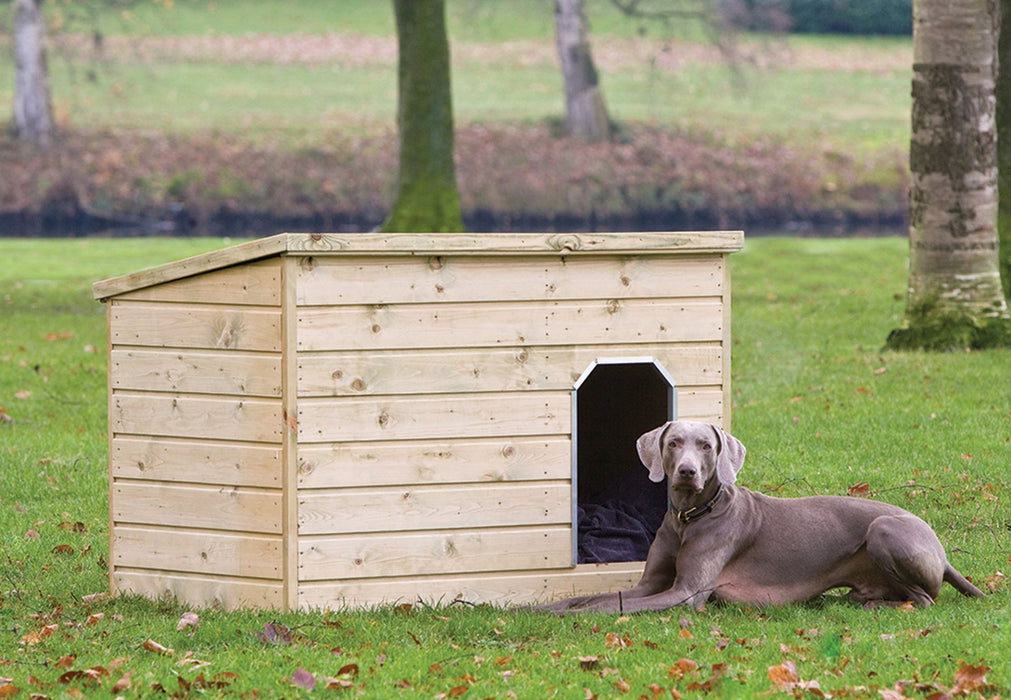 Enclos pour chien Teckel